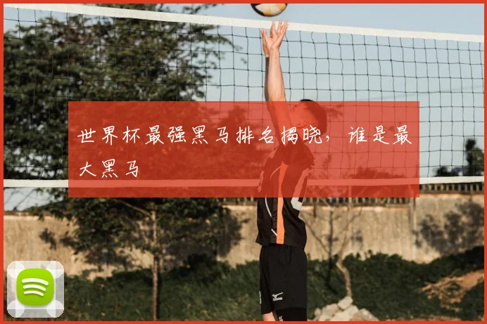 世界杯最强黑马排名揭晓,谁是最大黑马
