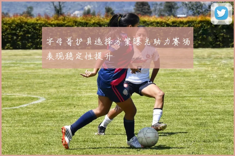 字母哥护具选择方案曝光助力赛场表现稳定性提升